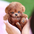 Portable Plush Dog Toy for Kids - Ideal for Playful Cuddling Adventures