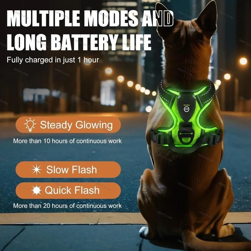 Rechargeable LED Dog Harness for Improved Nighttime Visibility