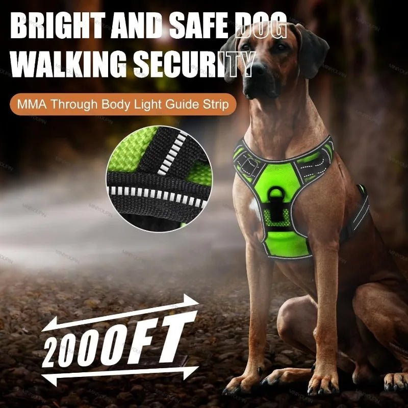 Rechargeable LED Dog Harness for Improved Nighttime Visibility