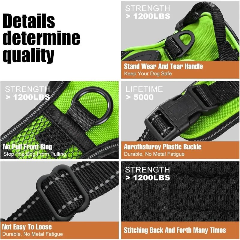 Rechargeable LED Dog Harness for Improved Nighttime Visibility
