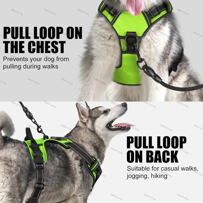 Rechargeable LED Dog Harness for Improved Nighttime Visibility
