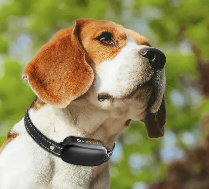 Precision Electric Training Collar with Control Range of Up to 1000 Meters