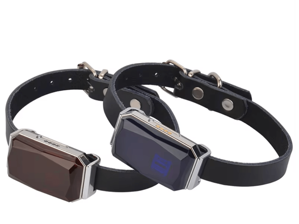 Compact Real-time GPS Tracker for Improved Daily Safety