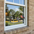 Transparent Acrylic Bird Feeder with Powerful Suction Cups for Close-Up Viewing