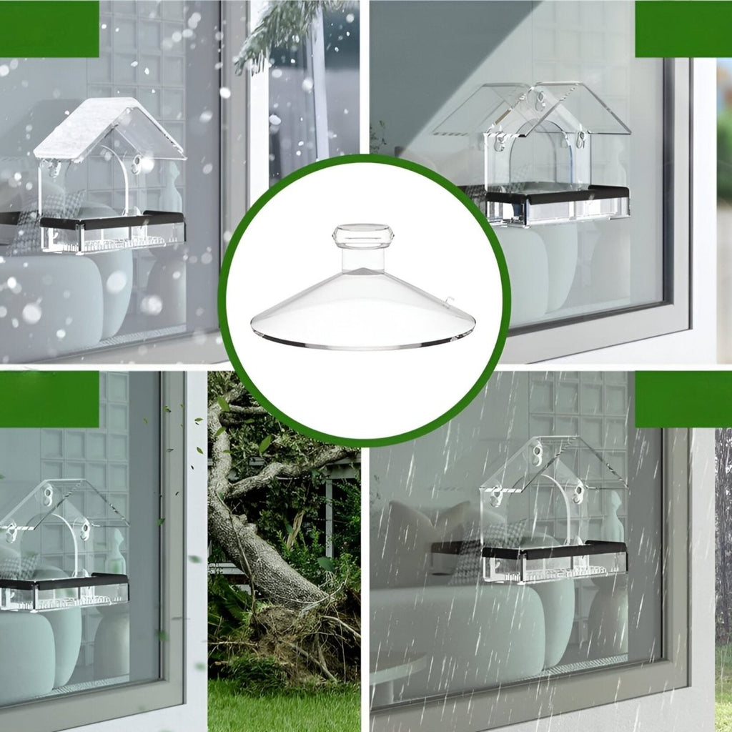 Transparent Acrylic Bird Feeder with Powerful Suction Cups for Close-Up Viewing