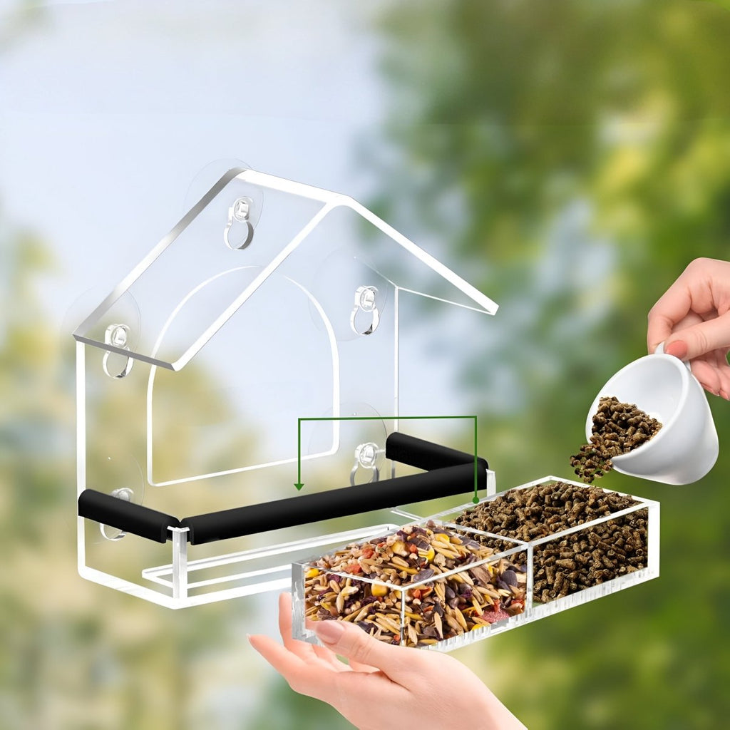 Transparent Acrylic Bird Feeder with Powerful Suction Cups for Close-Up Viewing
