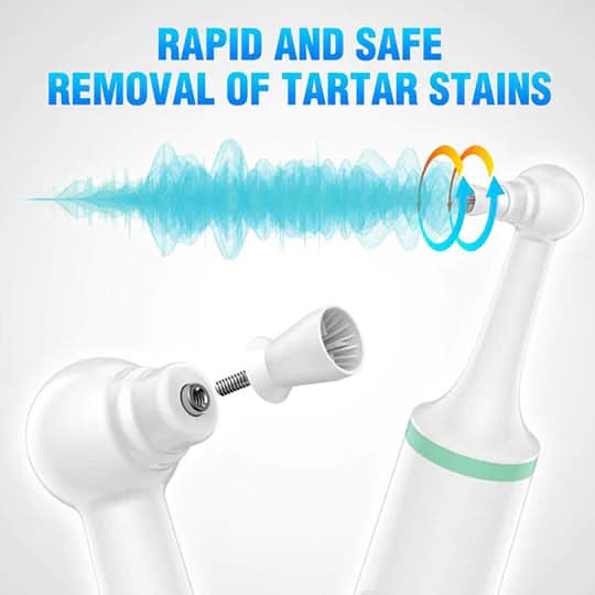 Pet Electric Toothbrush for Gentle and Effective Oral Care