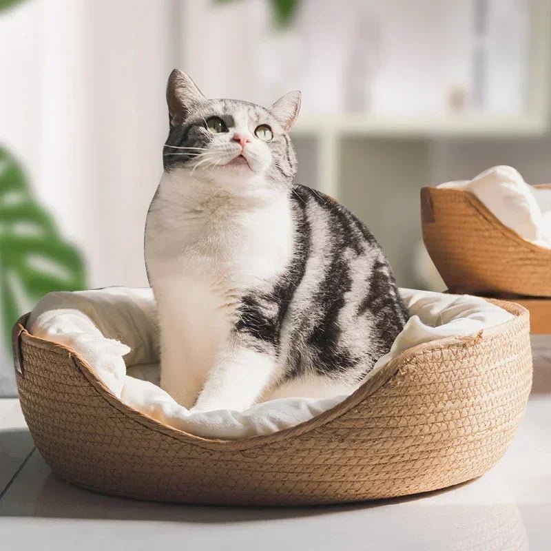 Eco-Friendly Cat Sofa Featuring Breathable Cotton Design