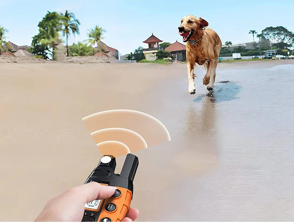 1000m Waterproof Remote Dog Training Collar