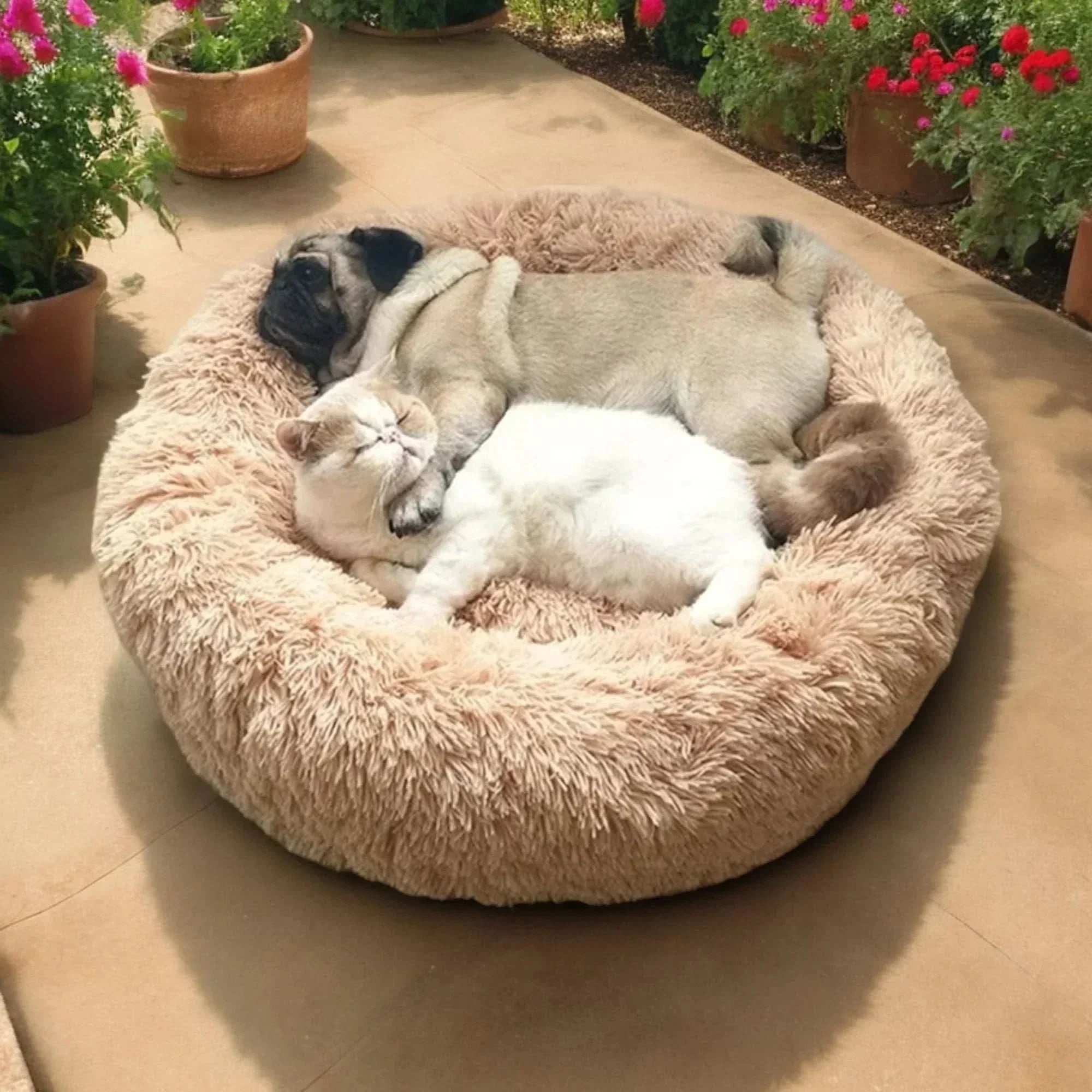 Luxuriously Soft Dog Bed for Ultimate Comfort and Relaxation