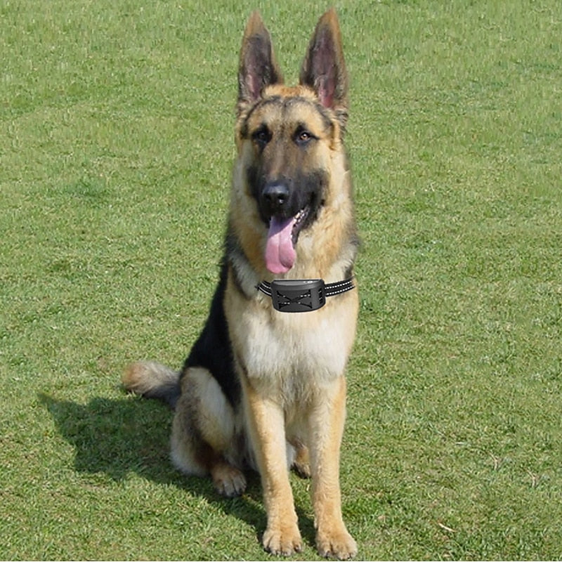 Wireless Dog Fence System with Collar, Adjustable Range 9–240m