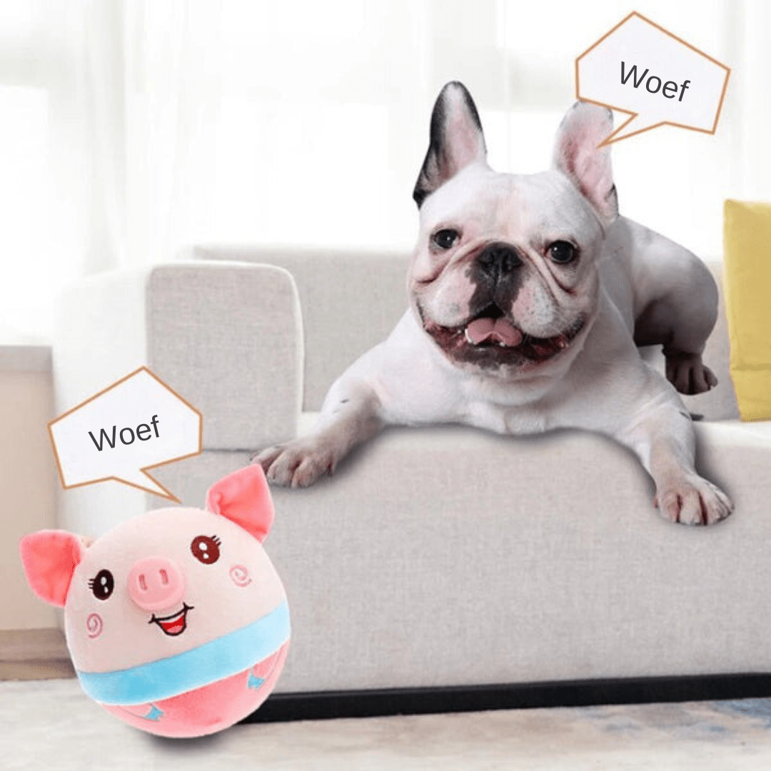 Interactive Motion Ball for Smart and Energetic Dogs