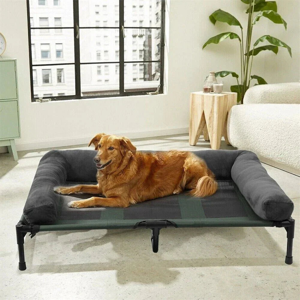 Raised Dog Bed for Outdoor and Garden Use