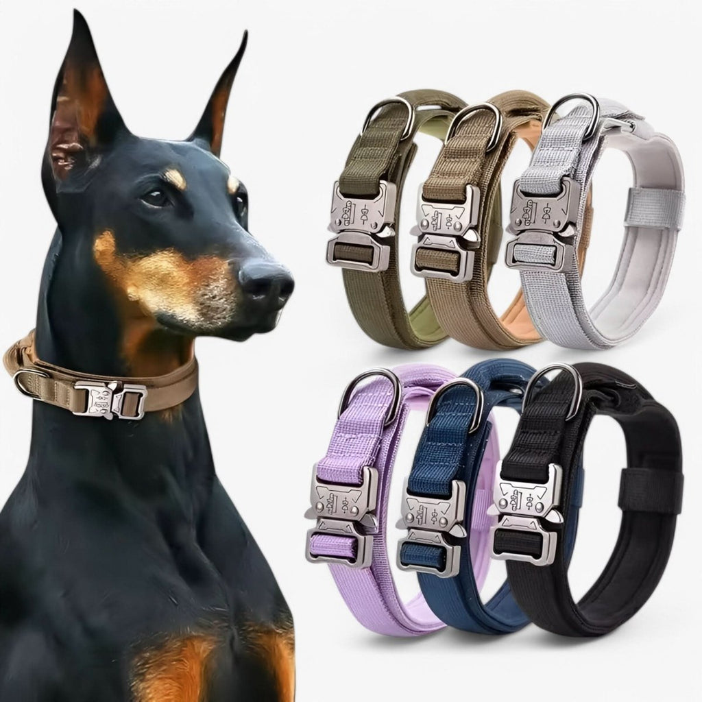 Sturdy Adjustable Dog Collar Set – Perfect for Training and Daily Wear