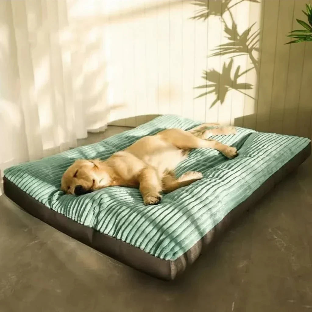 Plush Comfort Dog Bed