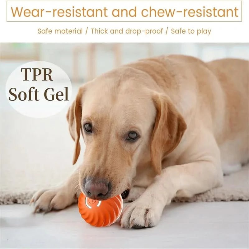 Rechargeable Interactive Bouncing Dog Ball