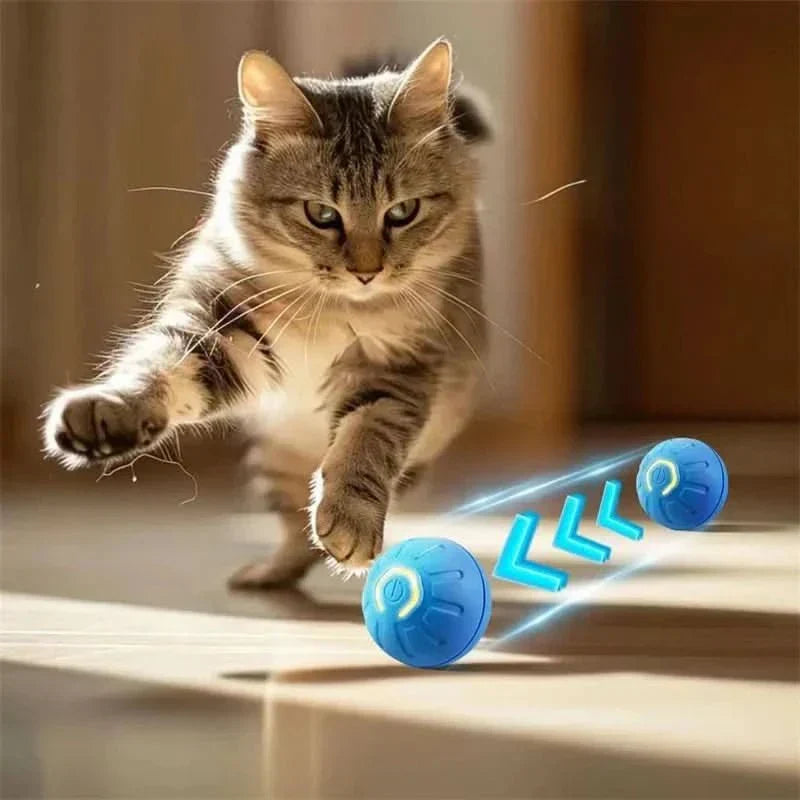 Rechargeable Interactive Bouncing Dog Ball