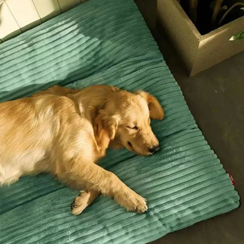 Plush Comfort Dog Bed