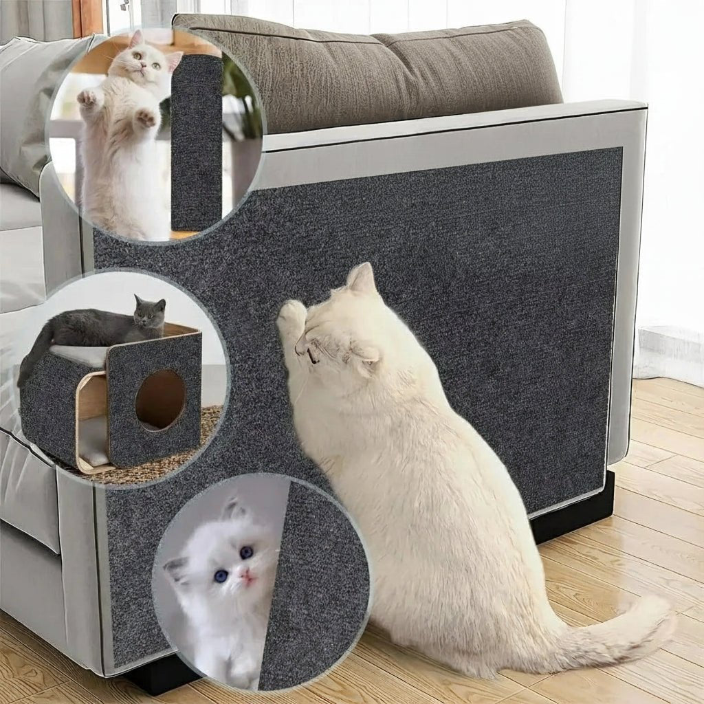 Self-Adhesive Cat Protection Plate to Shield Furniture, Walls, and Carpets