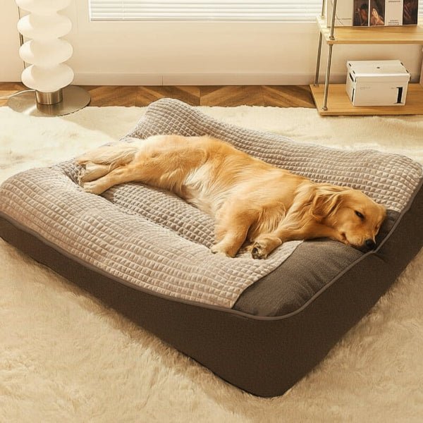 Spacious Scratch-Resistant Dog Bed with Orthopedic Back Support