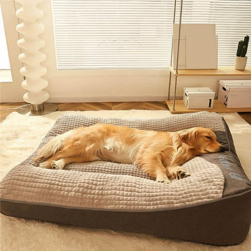Spacious Scratch-Resistant Dog Bed with Orthopedic Back Support