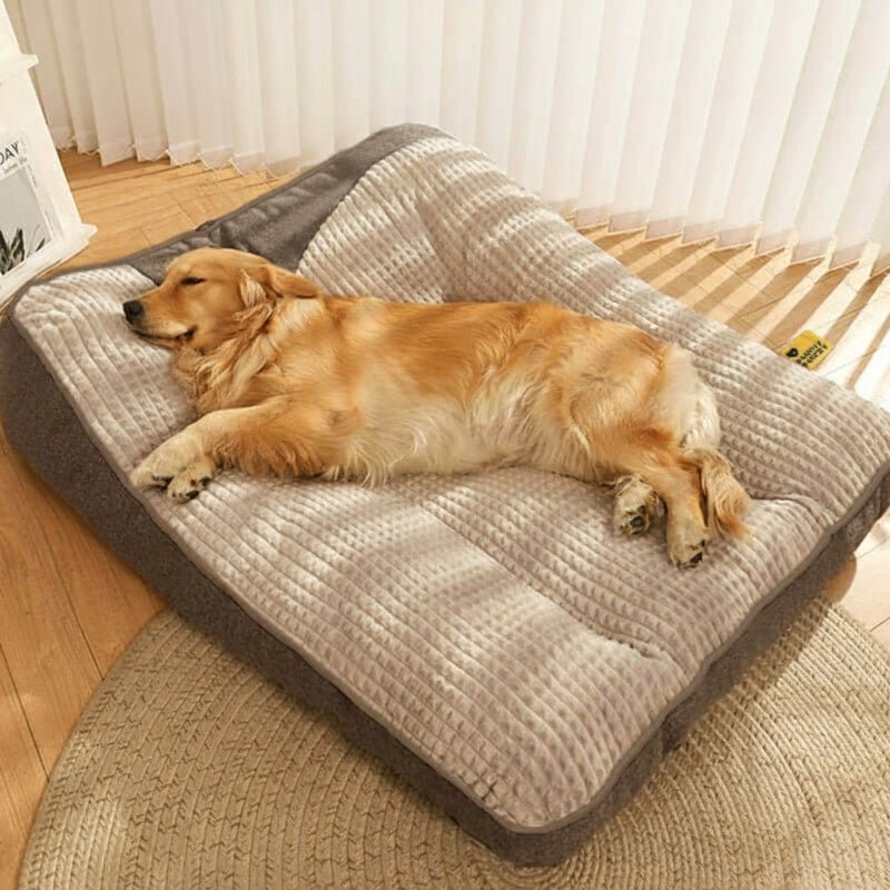 Spacious Scratch-Resistant Dog Bed with Orthopedic Back Support
