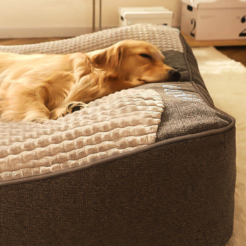 Spacious Scratch-Resistant Dog Bed with Orthopedic Back Support
