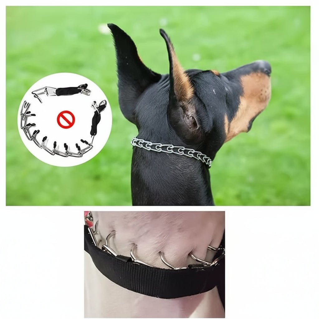 Durable Steel Dog Training Prong Collar with Soft Nylon Protection