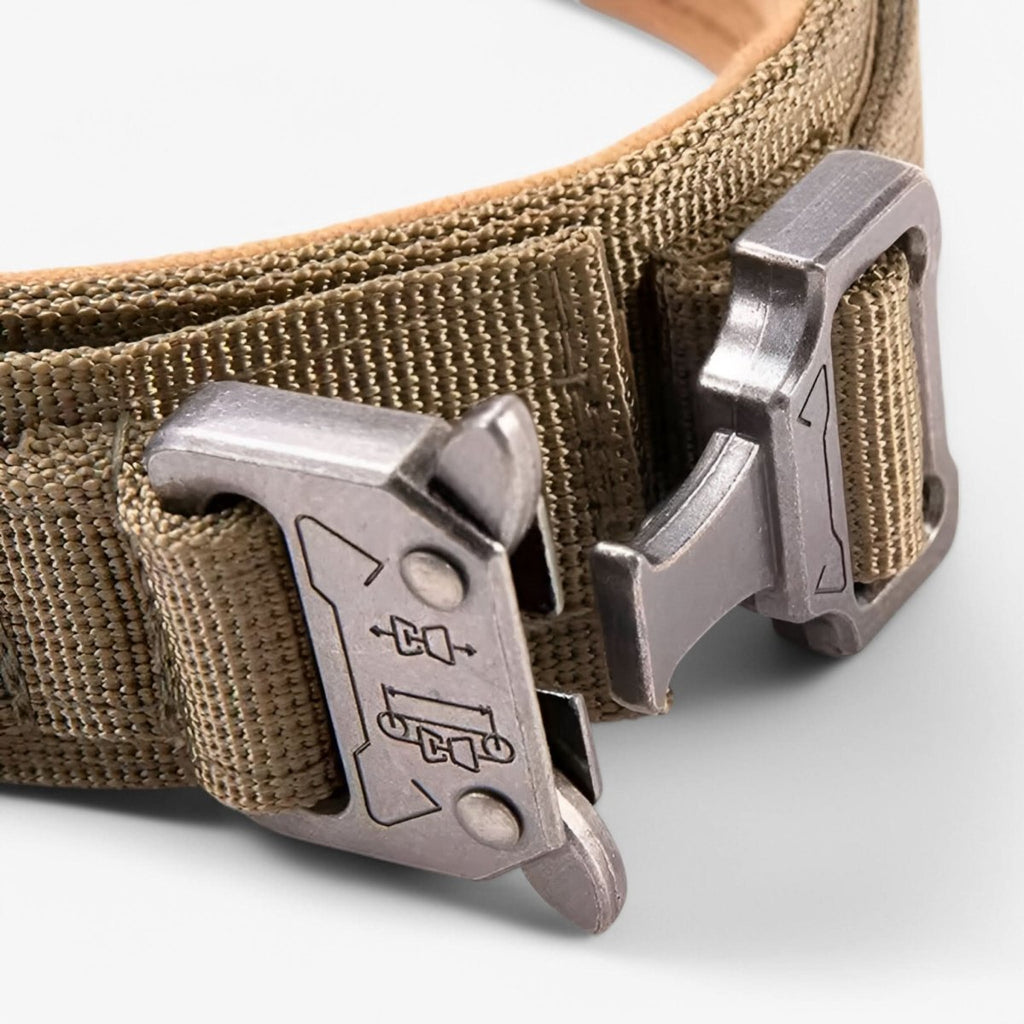 Sturdy Adjustable Dog Collar Set – Perfect for Training and Daily Wear