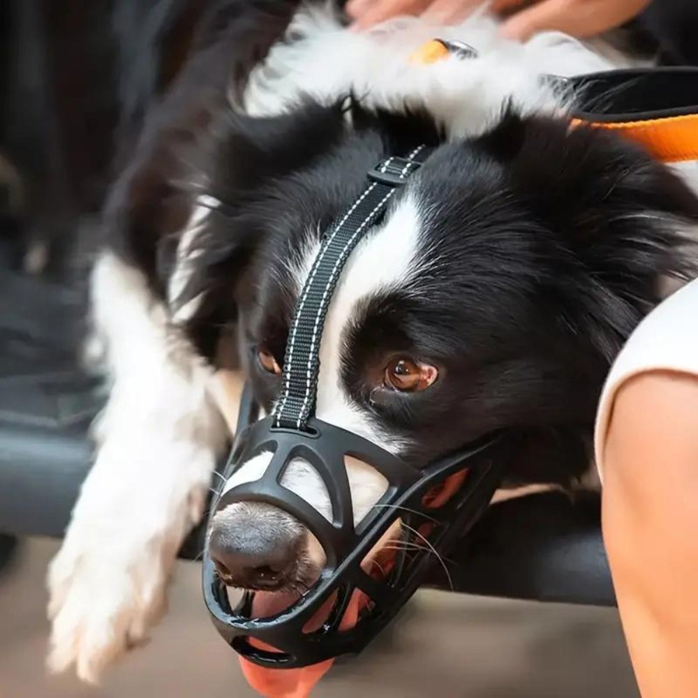 Soft Dog Muzzle for Safe Daily Use