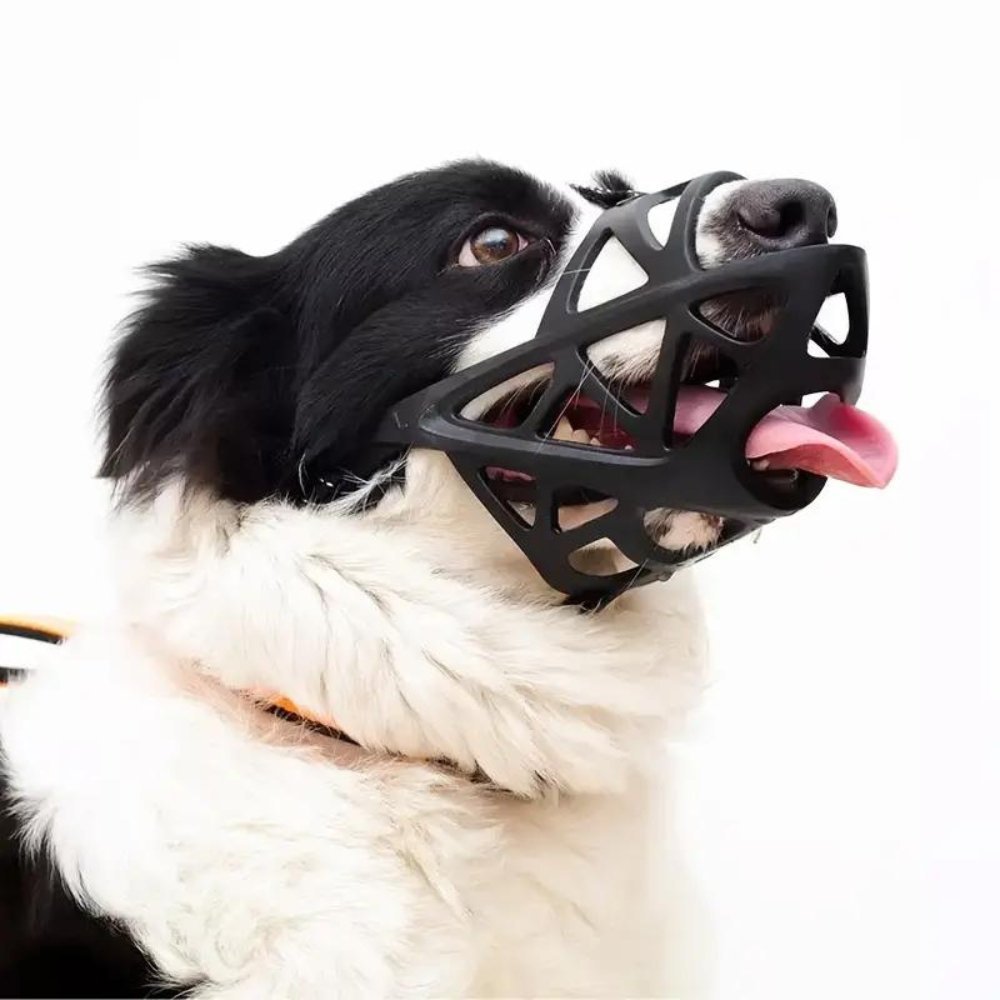 Soft Dog Muzzle for Safe Daily Use