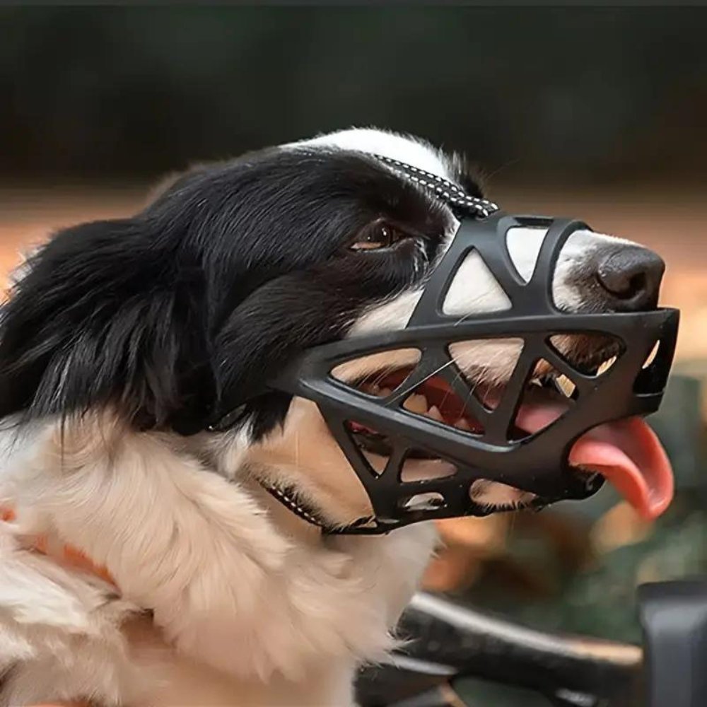 Soft Dog Muzzle for Safe Daily Use
