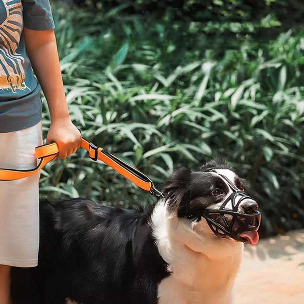 Soft Dog Muzzle for Safe Daily Use