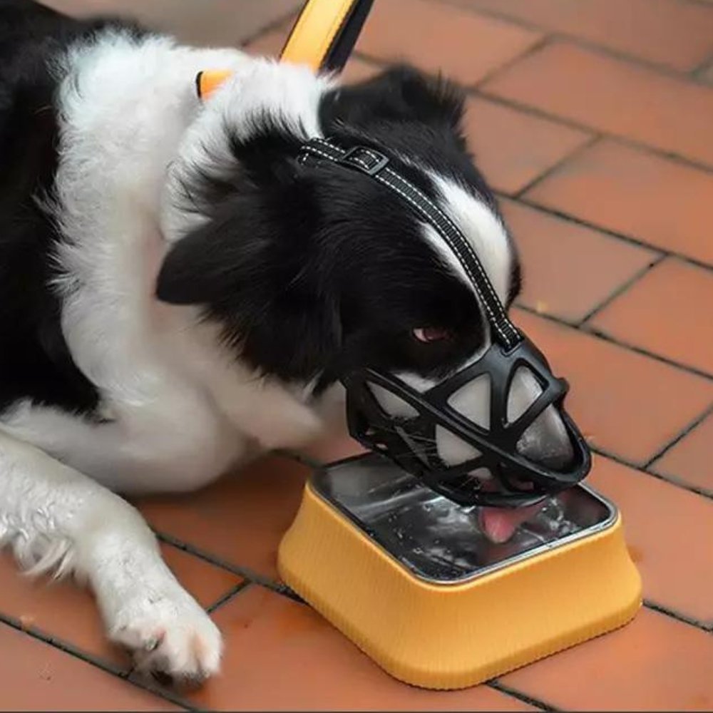 Soft Dog Muzzle for Safe Daily Use