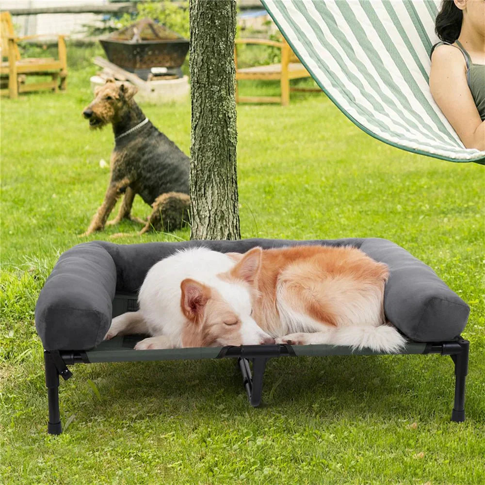Raised Dog Bed for Outdoor and Garden Use