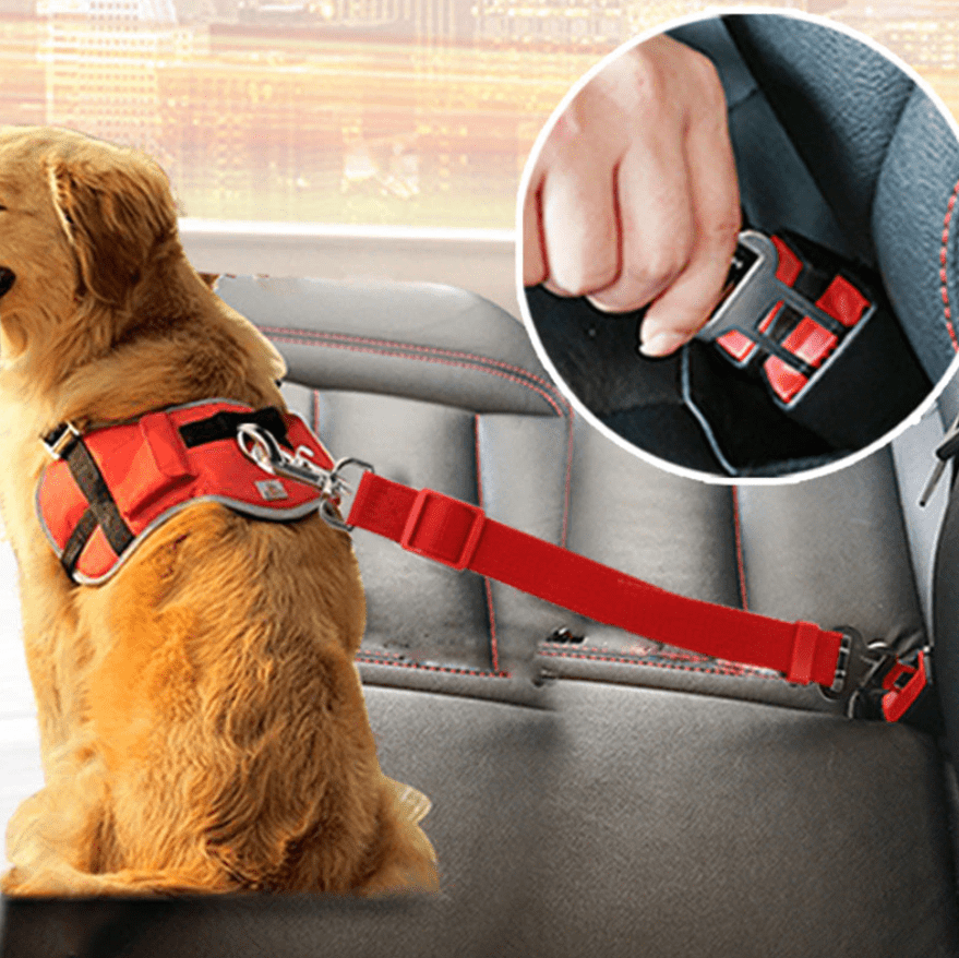Adjustable Dog Safety Belt for Car Travel