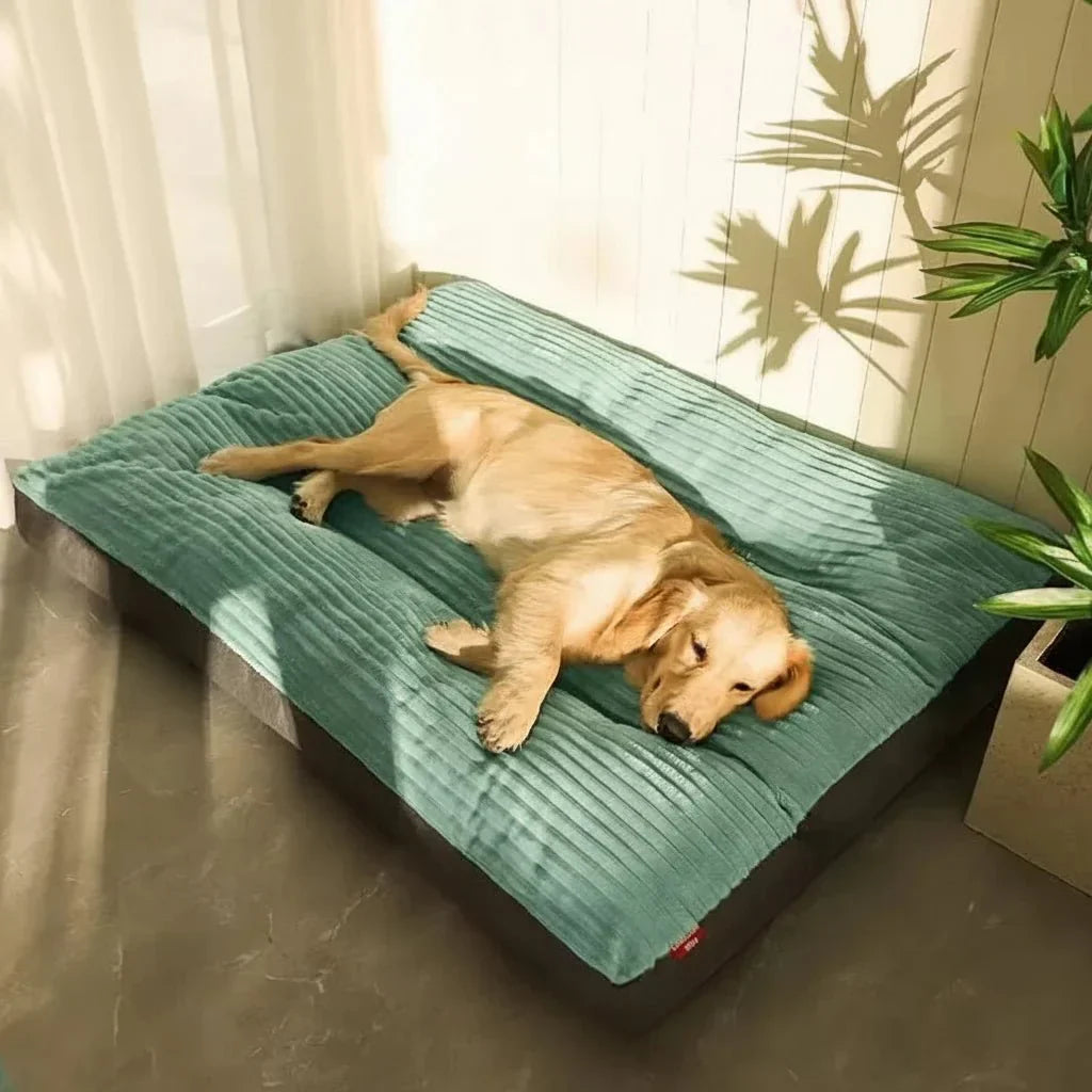 Plush Comfort Dog Bed