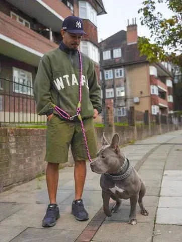 Hands-Free Leash for Jogging, Walking, and Free Movement