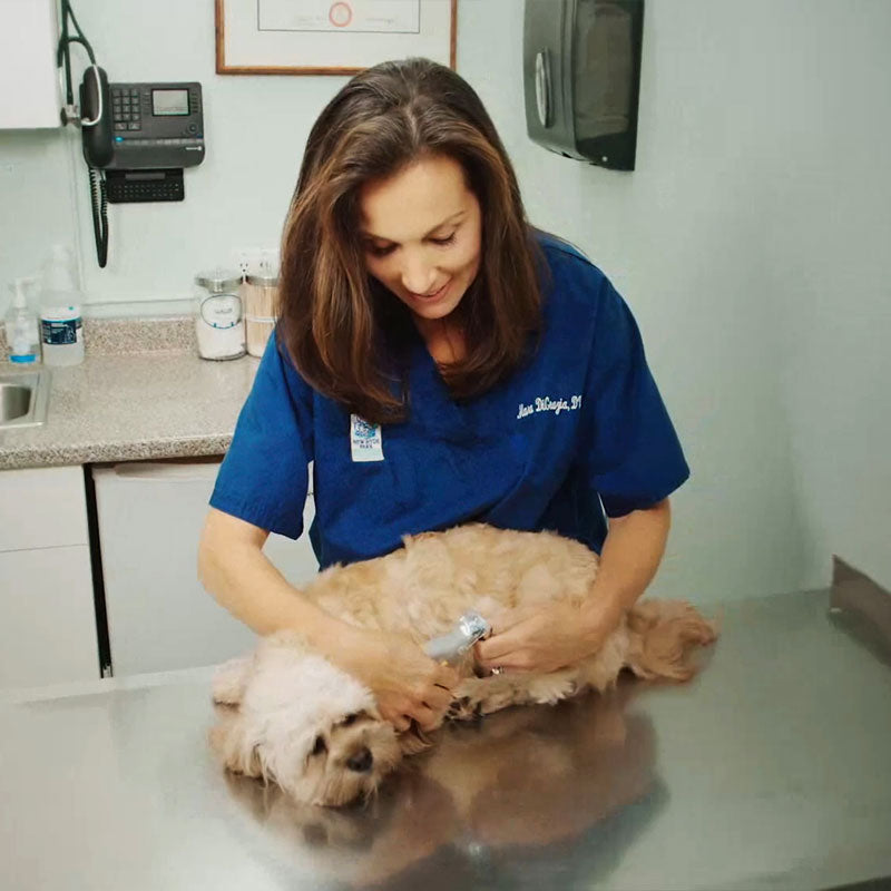 Intelligent Quick-Sensing Nail Clippers for Pets