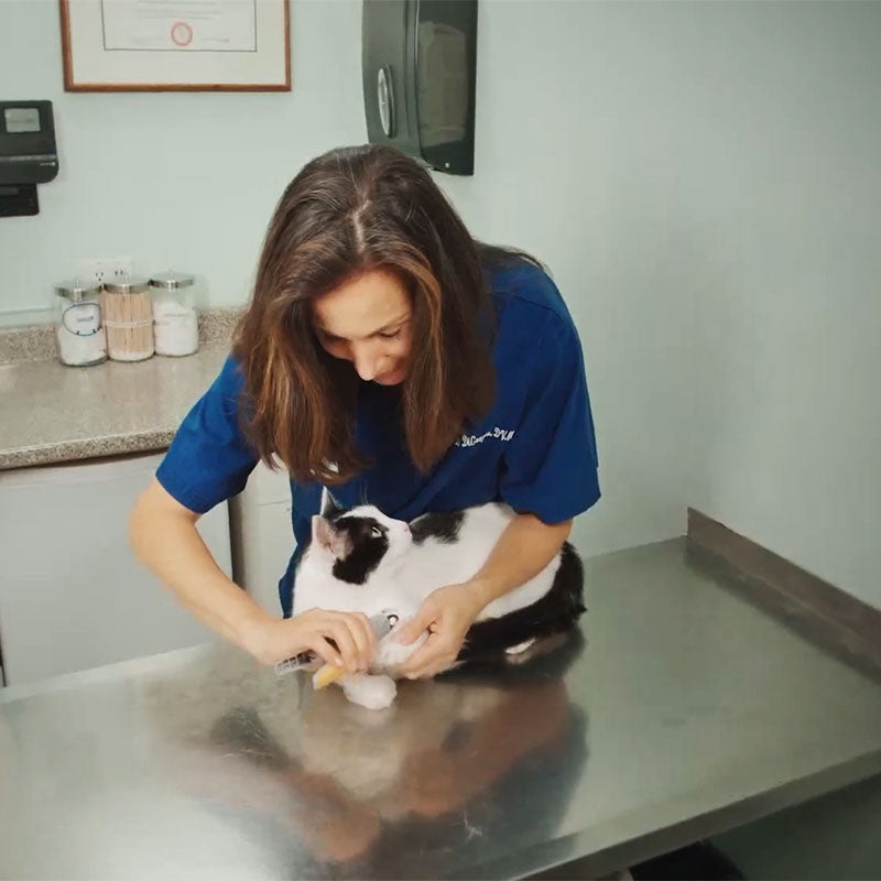 Intelligent Quick-Sensing Nail Clippers for Pets