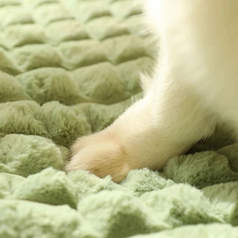 Machine Washable Plush Dog Bed