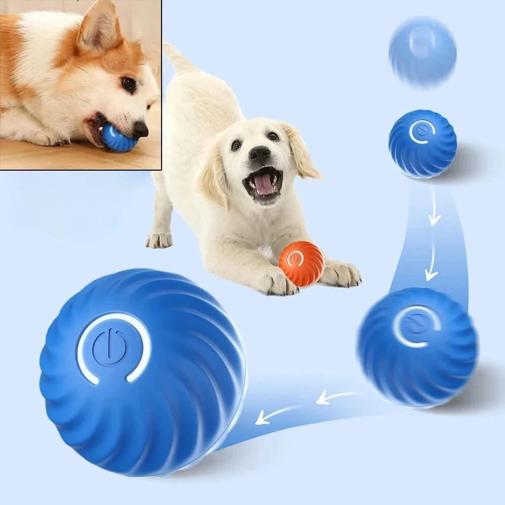 Interactive Rolling Ball with Automatic Motion for Energetic Dogs
