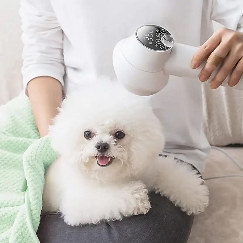 Ion Technology Pet Hair Dryer