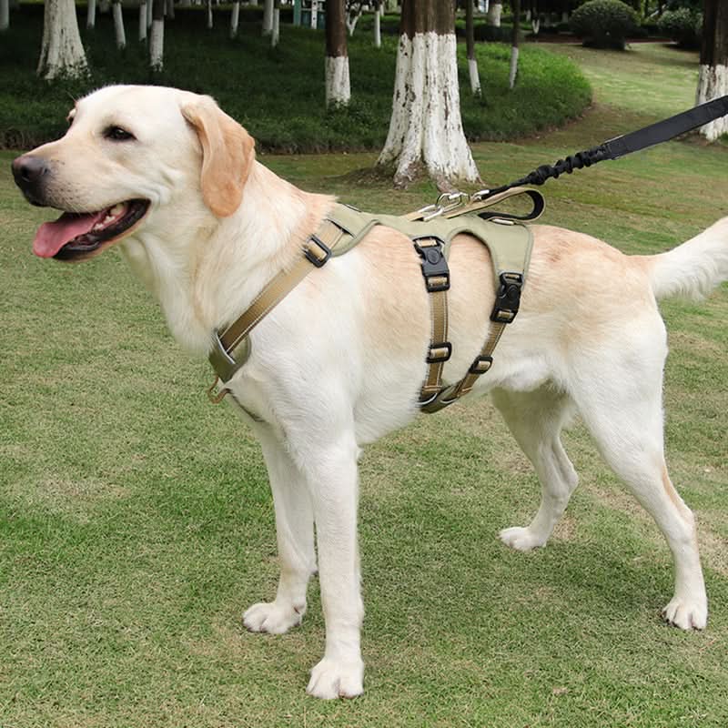Cozy No-Pull Dog Harness with Improved Grip and Safety Features