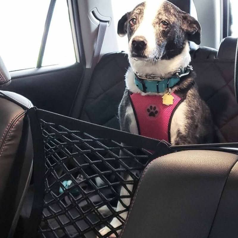 Dog Car Safety Net with Practical Storage Solution