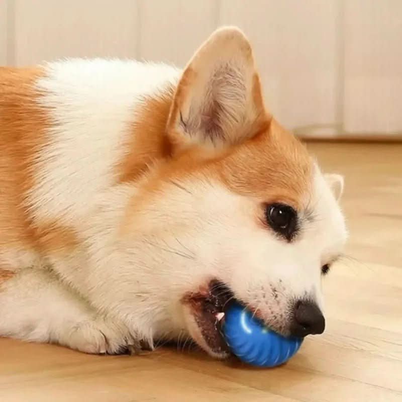Interactive Rolling Ball with Automatic Motion for Energetic Dogs