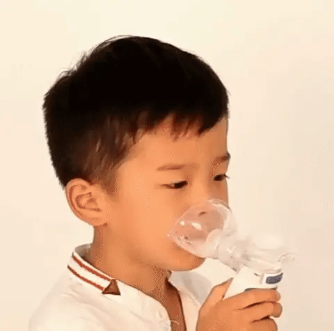 Portable Rechargeable Ultrasonic Nebulizer