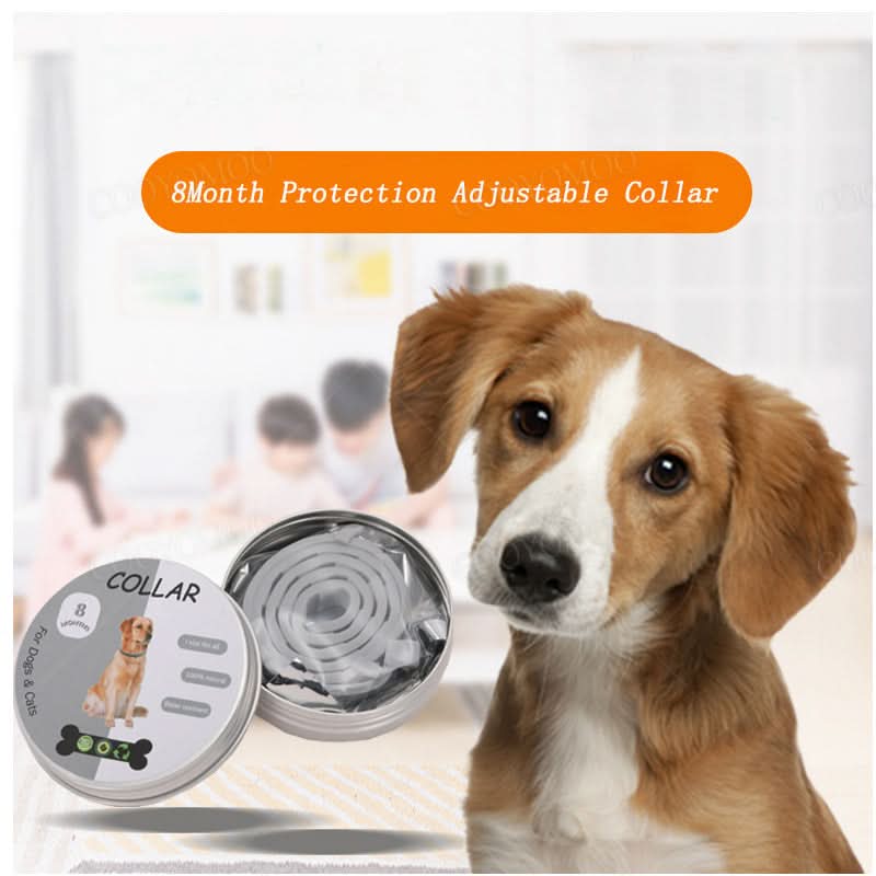 Flea and Tick Prevention Collar