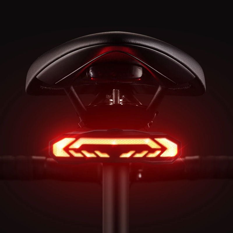 Intelligent Bicycle Tail Light with Alarm Feature