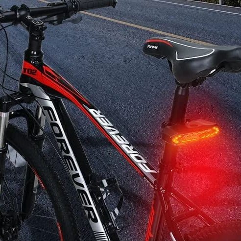 Intelligent Bicycle Tail Light with Alarm Feature